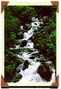 (9k) Centella Waterfall